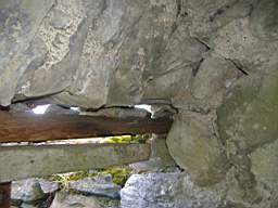bellanamullia - 1222.JPG